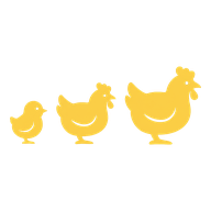 icone com as fases de crescimento da galinha